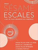 Réservez les meilleures places pour Sesame Escales Solo - Grand Palais, Galeries Nationales - Du 18 septembre 2020 au 30 avril 2025